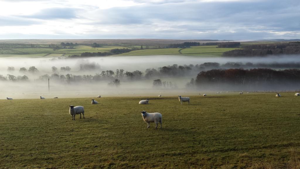Redesdale Arms Otel Otterburn Dış mekan fotoğraf